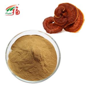 Wholesale 30% Polysaccharides Mushroom Extract Powder Reishi / Ganoderma Lucidum Extract from china suppliers
