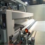 PVB Film Production Line PVB Building Car Glass Film Extrusion Machine