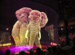3D Holographic Video Projection Screen 30m Length For Liver Hologram