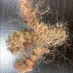 Brown HS hollow siliconized polyester staple fiber for filling sofa
