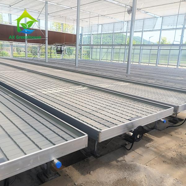 Greenhouse Indoor Hydroponic Ebb And Flood Rolling Benches Grow Seed Table For