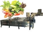 Anti Erosion Fruit Vegetable Washing Machine 50Hz For Industrial
