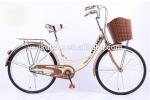 Steel Single Speed Adult 24 Inch City Bike