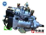 Toyota 1HZ Injection Pump 22100-1C050 22100-1C190 Landcruiser J75 1HZ fuel
