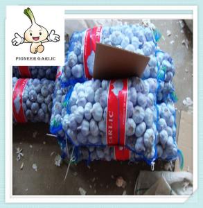 Wholesale 2016 Jinxiang new crop fresh garlic Chinese fresh normal white garlic good price from china suppliers