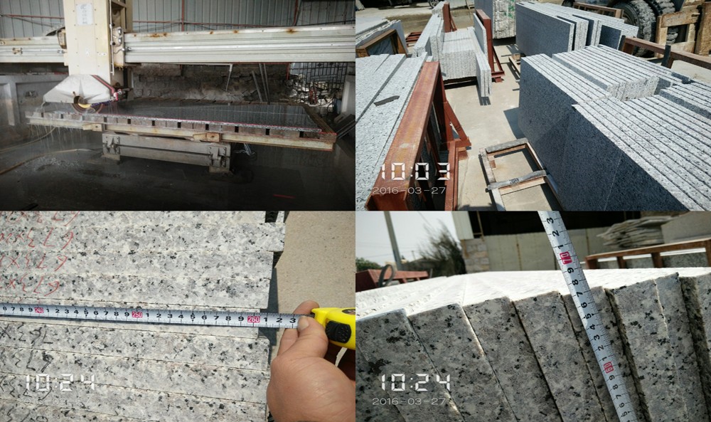 Bath / Kitchen Andromeda White Granite Countertop 2.67g / Cm2 Bulk Density