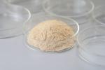 Water Soluble Catalase for Optimal Performance at pH Range 5.5-11.5
