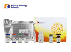 Wholesale High Sensitivity And Specificity CORT Porcine ELISA Kit / Corticosterone Sandwich ELISA Kit from china suppliers