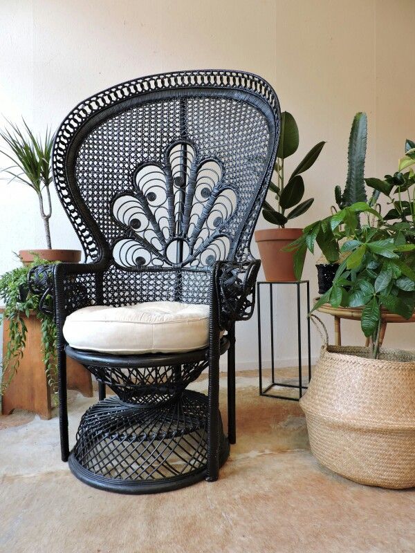 Wooden Rattan Arm Chair Outdoor Wicker Peacock Furniture