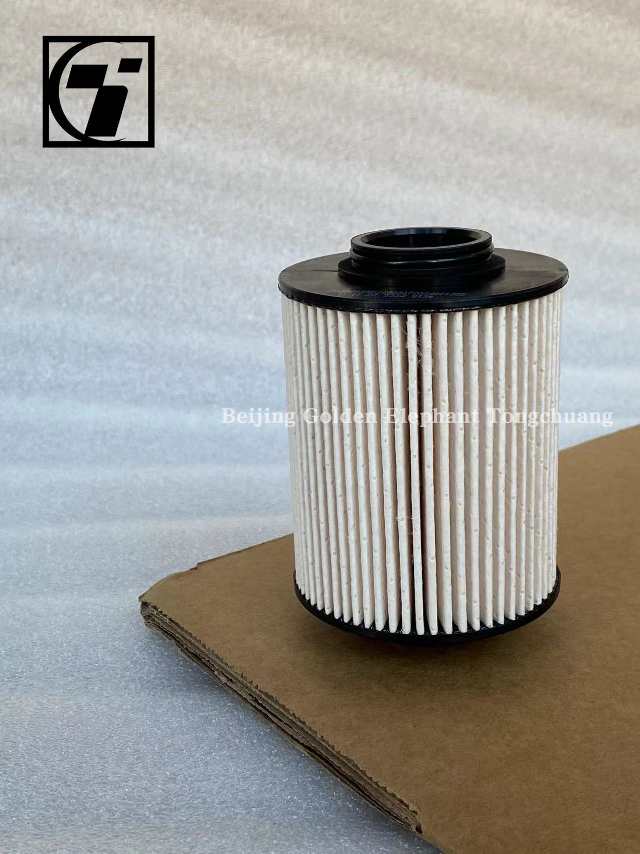 0.07kg Foton Aumark Fuel Filter P111000000245 for Martian Skin Condition Original