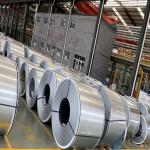 Sample Freely Hot Dipped Galvanized Steel Coil Electro Galvanized Steel Sheet in