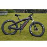 Carbon Fiber Enduro Electric Mountain Bike Ultra Light and Long Range with Disc