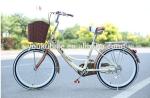 Steel Single Speed Adult 24 Inch City Bike