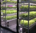 Steel Cover Material Hydroponic Vertical Farming Container System for Shaped