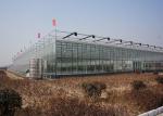 Commercial Glass Greenhouse , Hydroponic Greenhouse With Climate Control System