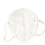 Earloop N95 Face Mask