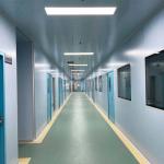 Clean Room Flooring Antistatic , Laboratory Hospital PVC Flooring Anti Corrosion