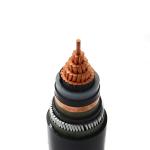 CE ISO CCC Certified 300mm Copper Conductor Control Cable for Low Voltage