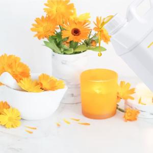 Wholesale Best Quality And Top Sale Essential Oils For Candle Making Delivery On Time from china suppliers