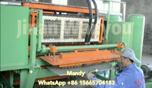 Wholesale Paper Apple Tray / Egg Tray Manufacturing Unit With Low Energy Consumption from china suppliers
