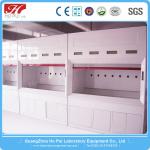 Anti - Acid Walk In Fume Hood Durable PP Structure For Laboratory