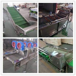 Wholesale cherry washing drying grading machine, cherry sorting machine, cherry grader sorter from china suppliers