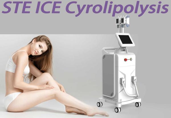 3 Handles Body Slimming Fat Freezing Machine Coolsculpting Equipment Vertical