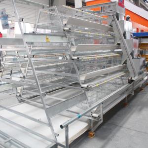 Wholesale Full Automatic A Type Layer Chicken Cage from china suppliers