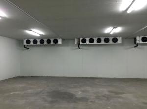 Wholesale 220V 380V Quick Freeze Cold Storage Air Cooled With Polyurethane Foam Insulation from china suppliers