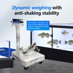 Customizable LED Display 200kg Multi-Category Printing Scales with Waterproof