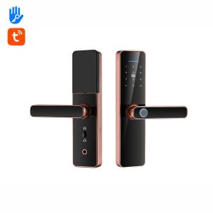 Wholesale Intelligent Password Fingerprint Door Lock TTlock Auto Door Locks For Home from china suppliers