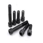Metric Black Zinc-Flake Coated A2 A4 Allen Bolt DIN912 Socket Cap Screw Bolt M2