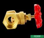 Cast Iron Handle Customized Brand Brass Gate Valve Double Female Heavier type