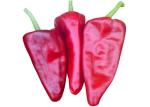 Culinary Yidu Chili Red Pepper Crushed Powder 8-15 Cm With / Without Stem