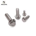DIN Standard 304 Stainless Steel Anti-Slip Toothed Flange Screw with External