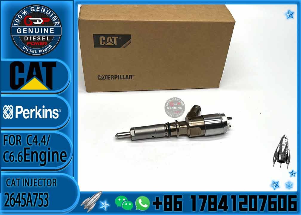Diesel Fuel Injector 2645A753 2645A746 2645A749 2645A747 10R-7671 10R-7672 2645A718