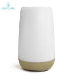 Moisturizing Spray 12W 100ML Essential Oil Diffuser With Led Light