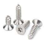 Galvanized Finish Stainless Steel Self Tapping Screw M1.2 M1.4 M1.7 M2 M2.3 M2.6