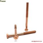 Bronze Fasteners Silicon Bronze Bolts Aluminium Bronze Bolts, Bronze Bolts