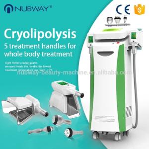 Wholesale Professional cryolipolysis cool body sculpting machine fat freezing 360 degree for double chin from china suppliers
