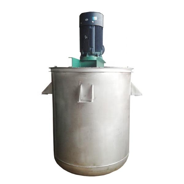 700kg Max. Loading Capacity Industrial Paint Disperser Mixing Tank Paint Mixer