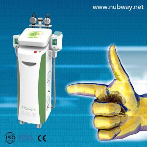 Wholesale Vertical amazing result best cryolipolysis lipo laser cavitation to losing weight from china suppliers
