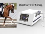 16Hz Veterinary Laser Shockwave Therapy Machine