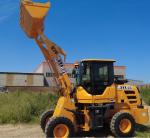 Engine Power 42 Kw Compact Articulating Loader Miniature Front End