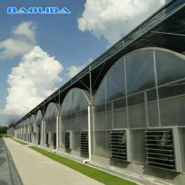 Multi Span Vegetable Animal Flower Growing Agriculture Polycarbonate Sheet