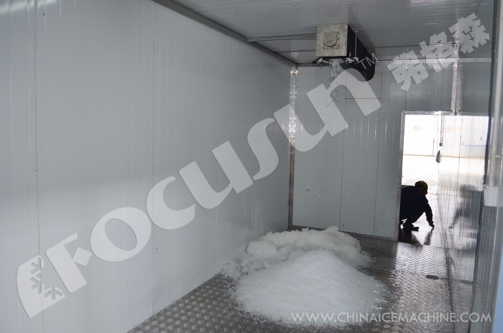Bitzer Compressor Containerized Cold Room for Storing Meat Seafood Vegetables or Ice