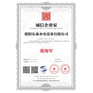Deyang Dongsen Hydropower Equipment Co., Ltd. Certifications
