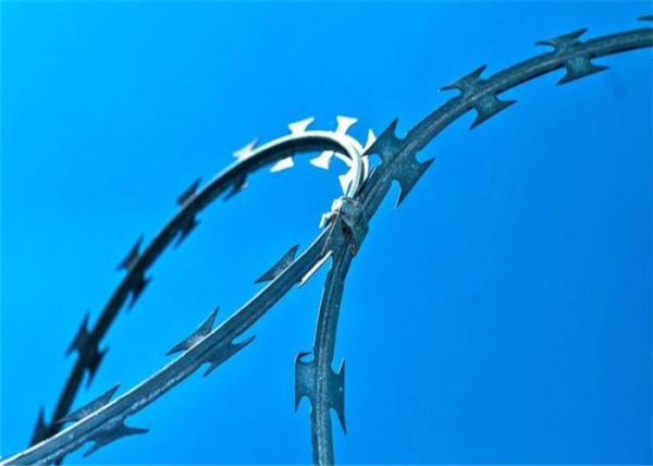 Quality Stainless Steel Concertina Razor Barbed Wire,blade barbed wire mesh fence,hot dipped galvanized wire for sale