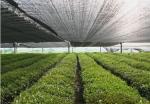 Agriculture Frame Mesh Harvest Bags / Mesh Vegetable Storage Bags
