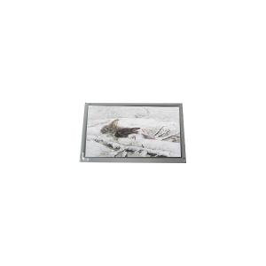 Wholesale Original LQ133X1LH04 1024*768 LVDS LCD Screen Module from china suppliers